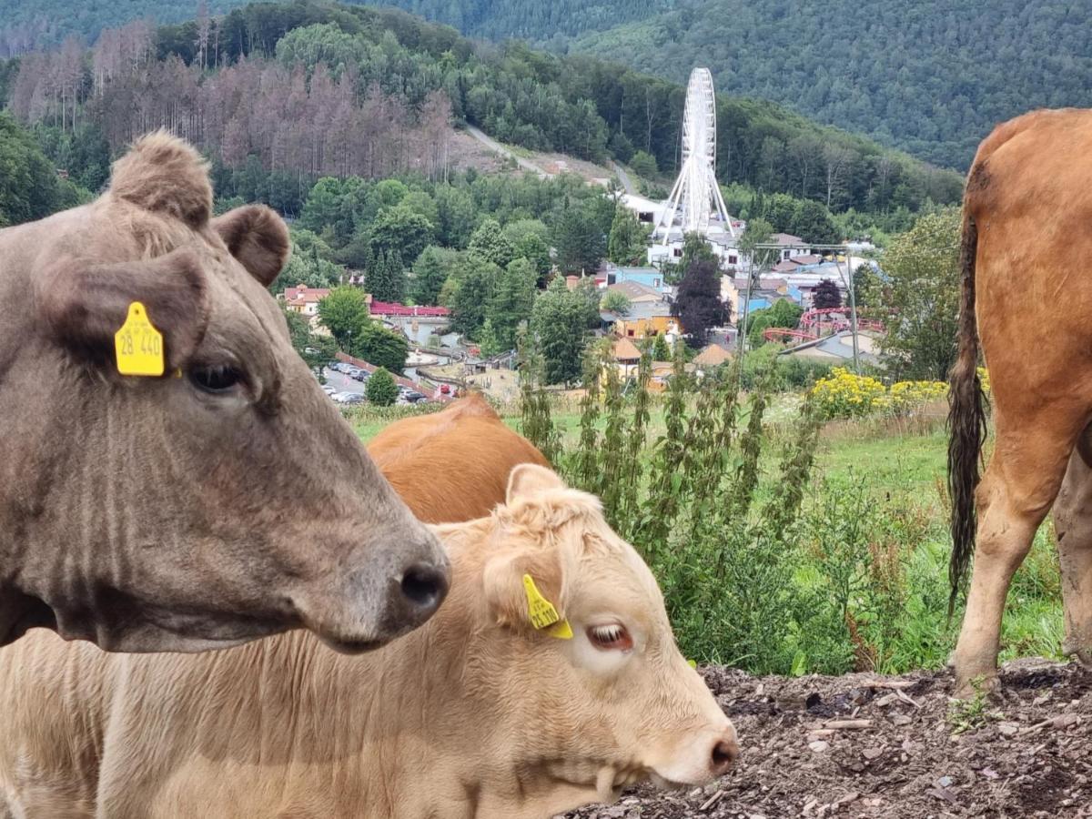 Ferienhaus Mit Ausblick Brilon Exterior foto